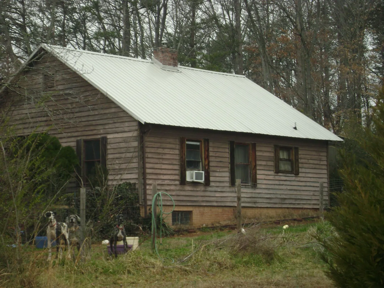 White metal roof on an old wood sided farmhouse, from a Metal Roof Installation job in Dedham